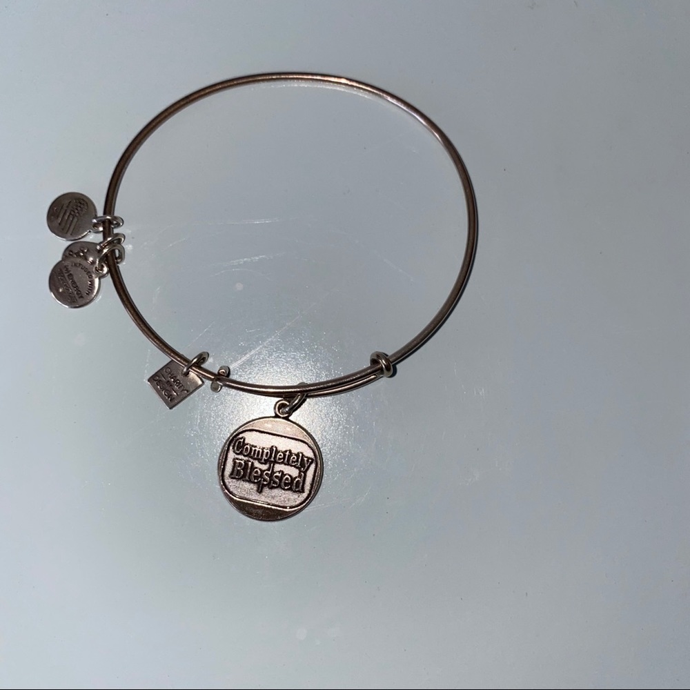 Alex and Ani charm bracelet